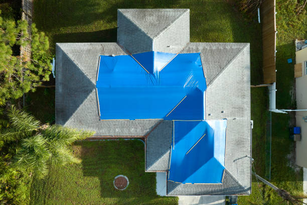 Best Asphalt Shingles Roofing  in Bonita, CA