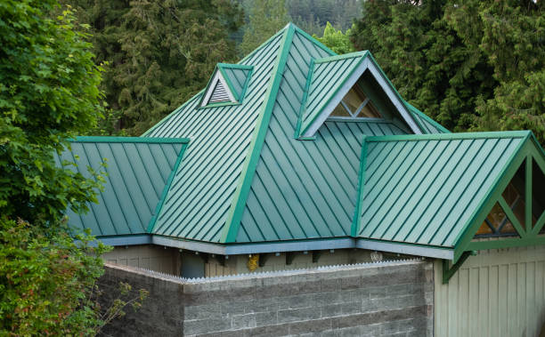 Best Skylight Installation and Repair  in Bonita, CA