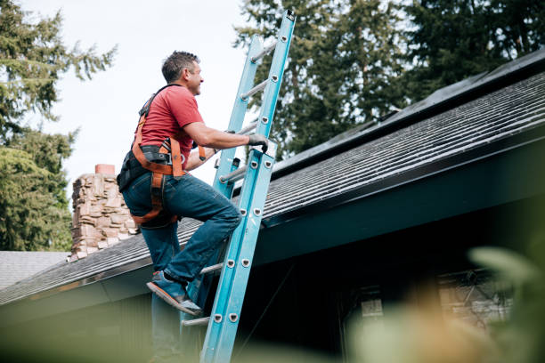 Best Solar Panel Roofing Installation  in Bonita, CA